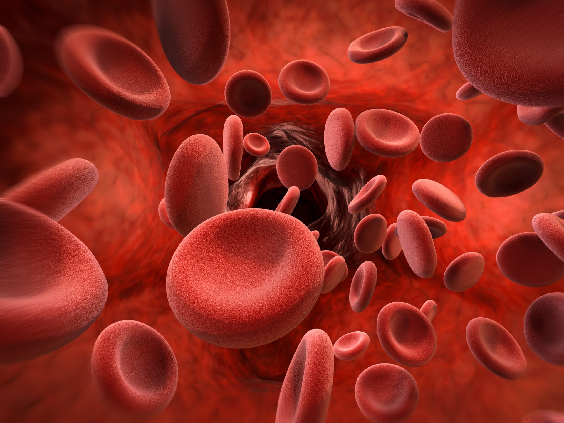 Le malattie del sangue